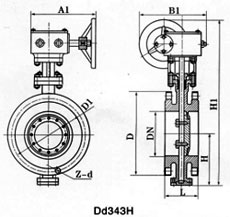 ߴD