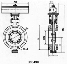 ߴD